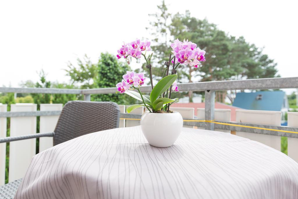 Hotel Garni Am Deich Zingst Habitación foto