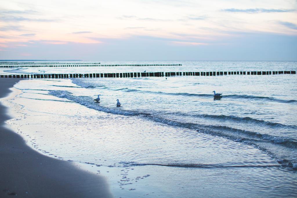 Hotel Garni Am Deich Zingst Exterior foto